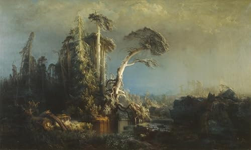 phtnmaihw Wandkunst, Poster, nach dem Sturm, der Urwald verschwindet bei schlechtem Wetter, 40 x 60 cm, ohne Rahmen