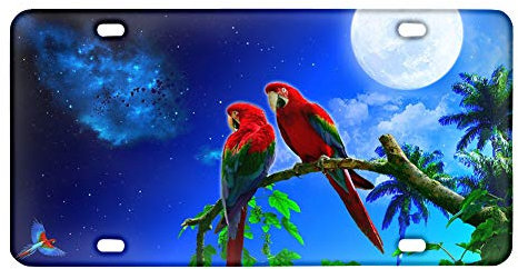 Coloranimal Niedlicher Vogel Papagei auf dem Baum mit Mond Nummernschild Galaxy Sternenhimmel dekorative Autoanhänger Schilder vorne Nummernschild Neuheit Auto Vanity Tag,Metall Autoschilder (4