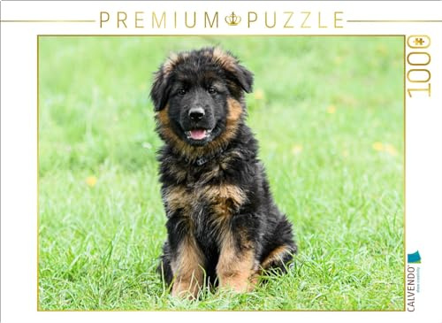 CALVENDO Puzzle Schäferhund - Welpe Langstockhaar | 1000 Teile Lege-Größe 64 x 48 cm Foto-Puzzle für glückliche Stunden