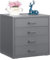 HollyHOME Desktop Drawers Filing Cabinet with 4 Drawers, Organizer Vertical File Cabinets for A4 Letter Size Metal Storage Drawer for Home Office Self-assemble,Grey