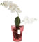 Vaso per fiori in vetro, per orchidee, diametro 15,5 cm, altezza 18 cm, rosso, struttura a ragnatele, grande, con gestione dell'acqua che regola la stanza, moderno vaso per fiori recisi