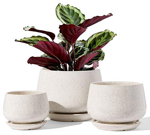 LE TAUCI 3er Set Keramik Blumentöpfe, 10/13/16 cm Durchmesser Klein Blumentöpfe Set, Übertöpfe für Zimmerpflanzen, Pflanztöpfe mit Untersetzer und Abflussloch, Reaktive Glasur Beige