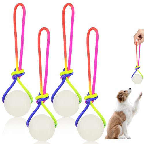 4 Stück Hundeball, Hundeball Leuchtend Glow Ball, Hundebälle mit Seil leuchtende Bälle für Hunde,Naturkautschuk Ball Hundespielzeug Klein Vollgummiball Wurfball Hund für Kleine & mittel & Große Hunde