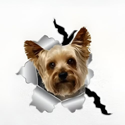 Autoaufkleber Yorkshire Terrier Aufkleber 15cm(5.9 Inch) Yorkshire Terrier Reflektierende Autoaufkleber 3D Zerrissen Haustier Hund Lustig Aufkleber Autostoßstange Heckscheibe Dekor
