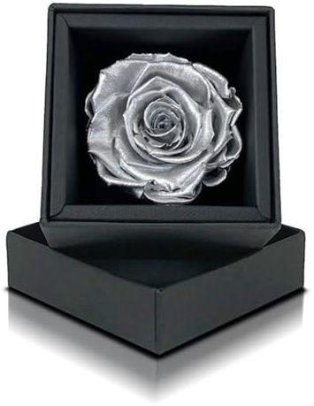 Aluisi Fiori Rosa Stabilizzata Argento in Cofanetto Nero - Rosa Stabilizzata Vera - Rosa Eterna - Fiore Stabilizzato - Fiori Stabilizzati - Simbolo di Eleganza e Nobiltà - Idea Regalo