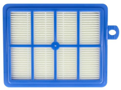 vhbw 1x Filtre compatible avec Electrolux Ergospace, Excellio, Twinclean, UltraOne, S-Bag aspirateur - Remplacement pour AEF 13 W, AEF13W, H13