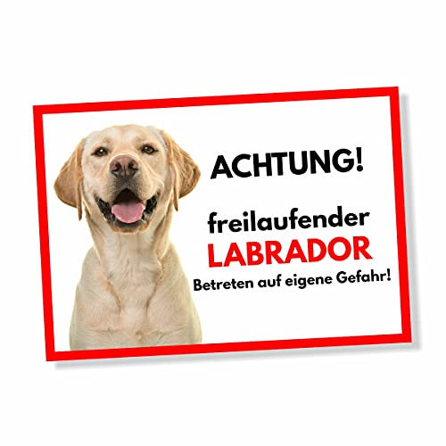 Labrador Freilaufender Hund Dog Schild Spruch Türschild Hundeschild Warnschild Geschenkidee Sicherheitsschild Hund Privatgrundstück Hundewarnung Warnung vor dem Hund