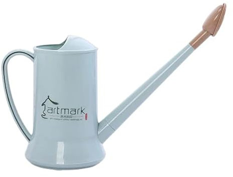 Arrosoir d'intérieur et d'extérieur, petit arrosoir avec long bec amovible, élégant arrosoir de jardin en plastique avec tête de rose, arrosoir de grande capacité de 2 l, fin Holland