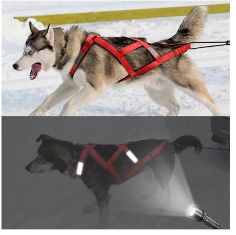 KANGYEBAIHUODIAN Wasserdichtes Hundeschlittengeschirr, reflektierendes Haustier-Schlitten-Skijöring-Geschirr for große und große Hunde, geeignet for das Haustiertraining ( Color : Red , Size : Chest 9