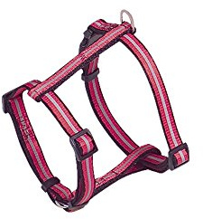 Nobby Geschirr Mini Reflect, rot B: 10mm, L: 25-35cm, 1 Stück