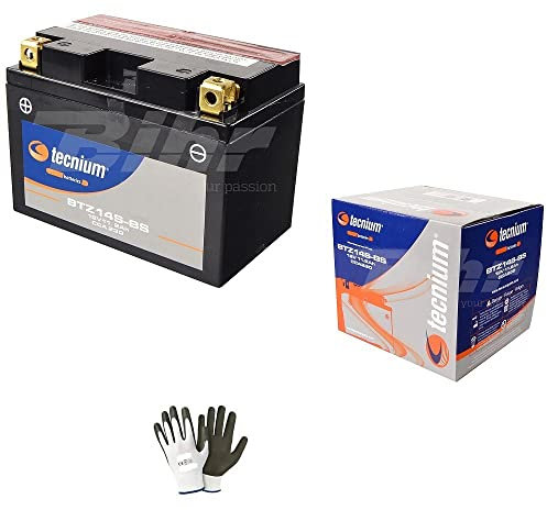 Compatible avec Honda 1300 ST Pan European 2002 A 2103 Batterie YTZ14S-BS déjà prête à l'emploi 11,2 ampères spécifique pour démarreur moteur moto scooter 150 x 87 x 110