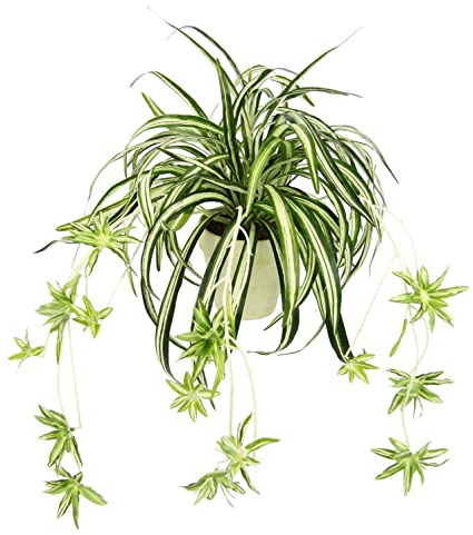 Plante araignée artificielle en pot - Chlorophytum - Plante verte - Plante en soie - Nénuphar - Plante d'araignée - Plante suspendue - Plante d'intérieur - Décoration de mariage - Vert/blanc - 36 x 46