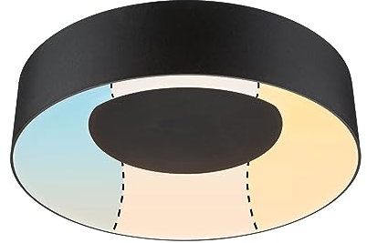 Paulmann 71096 LED Deckenleuchte Casca IP44 White Switch 2300lm 230V 18W Schwarz rund dimmbar Metall, Kunststoff 3000 K