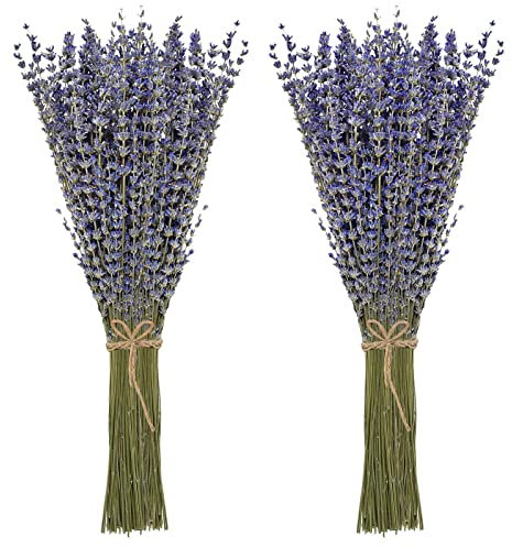 Timoo Getrocknete Lavendel-Bündel, 100% natürlich getrocknete Lavendelblüten für Heimdekoration, Foto-Requisiten, Raumduft, 2 Bündel