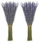 Timoo Getrocknete Lavendel-Bündel, 100% natürlich getrocknete Lavendelblüten für Heimdekoration, Foto-Requisiten, Raumduft, 2 Bündel