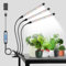 Wolezek Pflanzenlampe, 6000K Pflanzenlampe LED Vollspektrum, Weißes Pflanzenlicht mit Clip, Wachstumslampen für Pflanzen, Grow Light mit 5 Stufen Dimmbar, 3 Modi, 6/12/16H Auto Timer