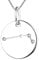 YL Silber Widder Halskette-925 Sterling Silber CZ Horoskop Sternzeichen 12 Konstellation Anhänger Halskette für Frauen und Mädchen