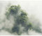 decomonkey Fototapete Wald 350x256 cm XL Tapete Fototapeten Vlies Tapeten Vliestapete Wandtapete moderne Wandbild Wand Schlafzimmer Wohnzimmer Natur Baum