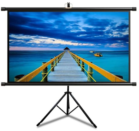 Xnyaizy Projector Screen and Stand, 60 Inch Portable Projector Screen with 4:3/16:9 HD 4K Projector Movie Screen for School Home Theatre, Indoor Outdoor Foldable Projection Screen (Size : 60 (16:9))