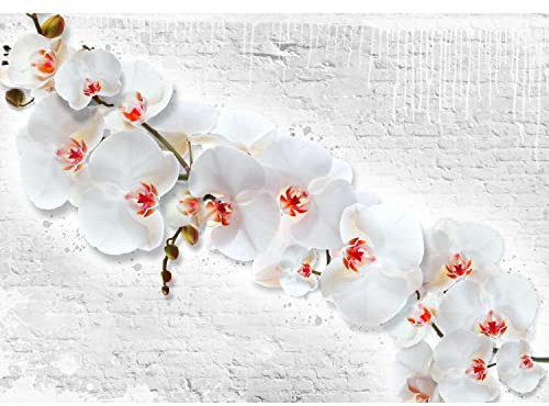 Runa Art Papier peint intissé fleurs d'orchidée mur de pierre 352 x 250 cm Toison Mur XXL Tableaux Muraux Tapisserie Photo Décoration Murale Salon Chambre Blanc rouge 9323011c