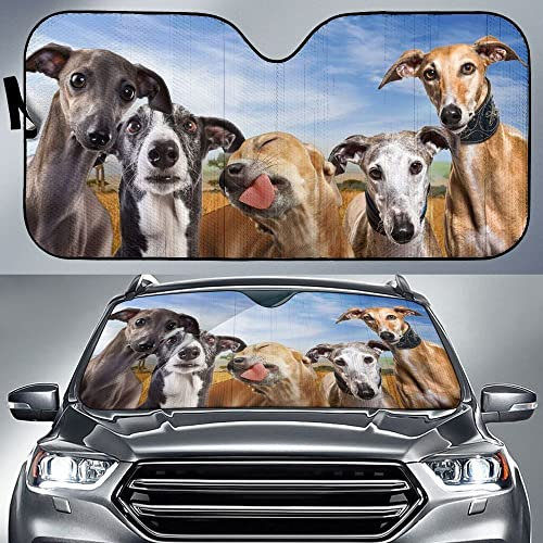 799 Parasol Coche Delantero Amante Divertido del Perro Galgo Blanco Y Negro Negro Parasol Luna De Coche Plegable Parasol para Parabrisa Universal para Camioneta Camión Todoterreno M