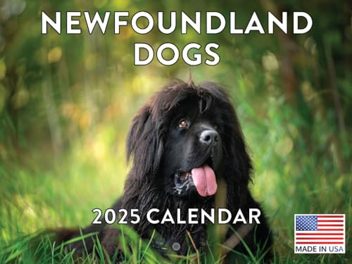 Neufundländer Hund Kalender 2024 Wand