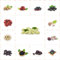 80 pcs maulbeerbaum winterhart samen - bäume garten winterhart saat bio geschenke,maulbeere,Morus alba,maulbeeren baum spalierobst balkonpflanzen winterhart zimmerpflanze garden