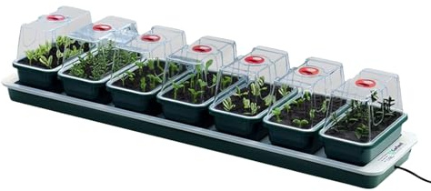 Oakland Gardens Super 7 Electric Windowsill Propagator | Heated Seed Starter Kit with 7 Mini Trays & Vented Lids | Indoor Seedling & Cutting Growing System | Planter