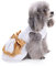 PETCUTE Hundekleid Haustier Kleine Hund Kleidung,Hundesommerkleid Haustier Hundekleid,Schöne Blume Haustier-Kleidung Elegante Bowknot Welpen Rock,Hundeprinzessin Kleider Tutu Hochzeit Spitze Kleid