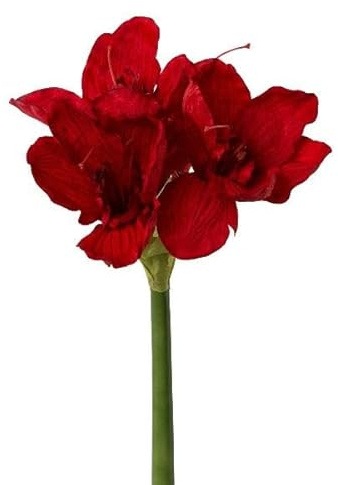 artplants.de Deko Blume Amaryllis WELBA, rot, 65cm - Künstliche Amaryllis