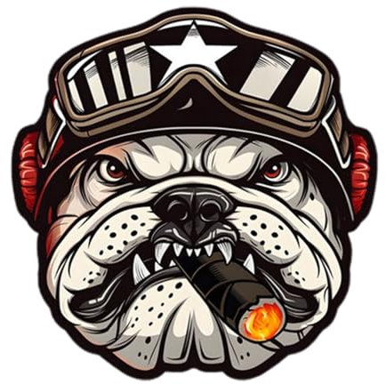 Decalcomanie Per Moto Vintage - Adesivi Per Auto Vintage | Adesivi Per Caschi Da Moto Impermeabili | Grafica Ad Alta Definizione | Confezione Di Adesivi Per Adulti Per Casco Adesivo Forte