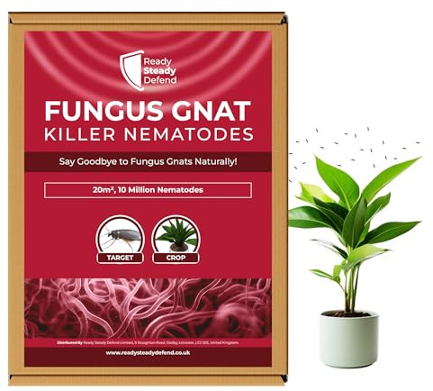 Fungus Gnat Killer Nematodes 20 m² (10 million) coverage for Indoor Plants - Effective Biological Control, Ideal Gnats Killer Indoor Plants, Comprehensive Scairid Fly Killer for Houseplants