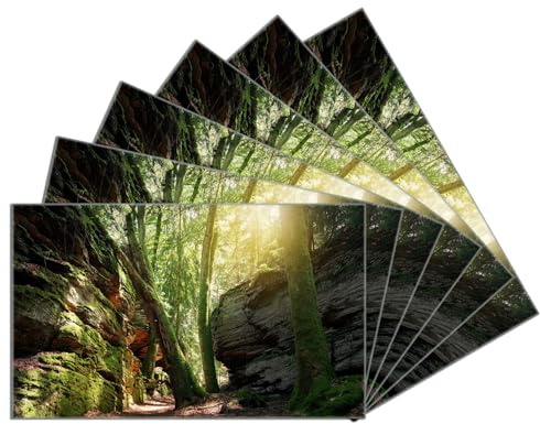 Wallario 6er Set Frühstücksbrettchen aus Glas, Glasunterlage, Glasbrettchen Moosbewachsener Waldpfad im Sonnenlicht, Größe 14 x 23 cm, Sicherheitsglas