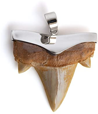 Fly Style echter Haizahn Anhänger mit 925 Silber Fassung - Handgefertigtes Unikat - Fossil Fossilien echt, Grösse:groß, Modelle:Hell