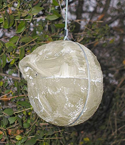 Schwegler Naturschutzprodukt Zaunkönig Meisen Nistkasten 2 Nisthöhlen Nisthilfe Zaunkönigkugel 1ZA Efeu Flugloch 30 x 27 mm aus Holzbeton Satz 2 Stück