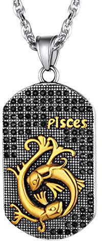 Richsteel Herren Kettenanhänger Sternzeichen Fische Halskette Dog Tag Kette mit Schmuckbox für Model