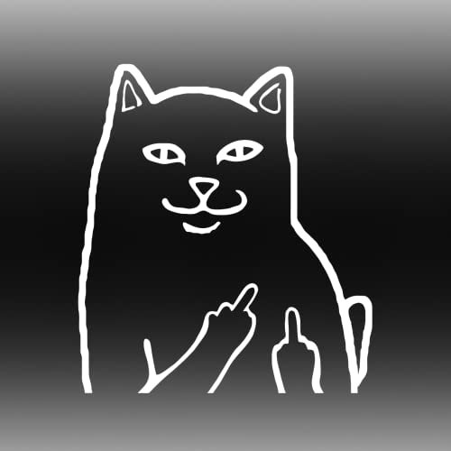 Unhöflicher Mittelfinger-Katzen-Aufkleber, lustiges Kätzchen, abklappbar, fluchen, Aufkleber, MTB, Motocross, Mountainbike, Spaß, Auto, Helm, Laptop, Kühlschrank, Werkzeugkasten, JDM, Fenster,