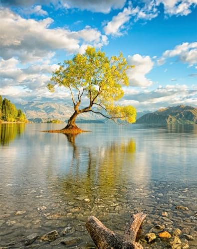 1000 Pieces Jigsaws Adults Puzzles Gifts-New,zealand,island,lake 70x50cm