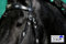 Tysons Breeches Jose Spanisch Portugisisch Trense Zaum Reitzaum Schwarz Braun VB WB X Full XX Full Kaltblut Leder weich unterlegt incl. Zügel (Schwarz, X Full)