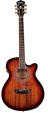 Washburn EA55G-A