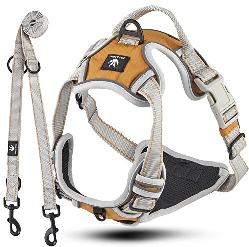 Dog & Dress Hundegeschirr + Leine Set Rocket, Gold/grau, schwarz, atmungsaktiv, reflektierend, verstellbar