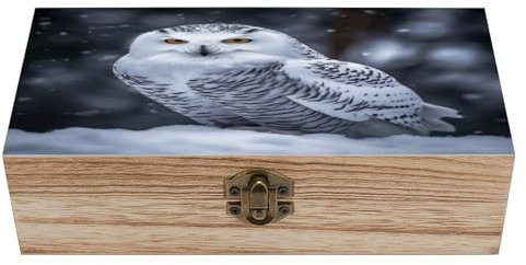 YJWANDO Aufbewahrungsbox aus Holz, mit Arktis-Eulen-Druck, Aufbewahrungsbox mit Retro-Schloss und Scharnier für Fotos und Schmuck, Stil