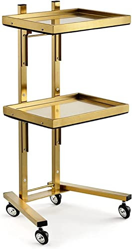 CGCSYZ Professioneller Servicewagen, Goldener Allzweck-Servicewagen, zusammenklappbarer Haarfarben-Organizer für Salons, Edelstahl-Instrumentenwagen auf Rädern für Sch(