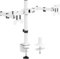 WALI Dual Monitor Arm for Screen Up to 27 Inch, Articulating Dual Monitor Stand with Tilt Swivel Rotate, Fully Adjustable Double Monitors Arm, Holds Screen Up to 10 kg, VESA 75 & 100mm, White (M002-W)