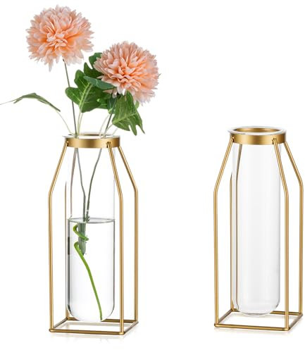 Sziqiqi Gold Gestell Glasvase - Metall Draht Blumenvase Set von 2 Reagenzglas Propagation Station für Hydroponik Moderne Zylinder Vase für Hochzeiten Weihnachten Muttertag
