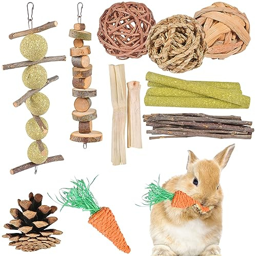 FGen Kaninchen Spielzeug, Kleintiere Kauspielzeug, Molarspielzeug, Zahnpflege, Chinchilla-Meerschweinchen-Spielzeugzubehör, für Kaninchen, Meerschweinchen, Hamster, Chinchilla