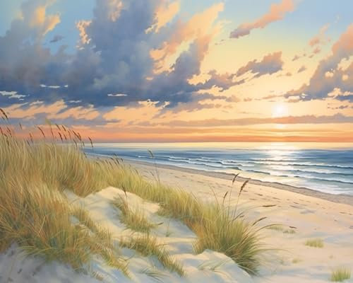 TISHIRON Paint by Numbers Kits for Adults Beginner Seascape with Sand Dunes Digital Art Seaside at Sunset Oil Painting DIY Paint by Number for Home Wall Decoration 16 x20 inch