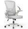 rattantree Sedia da Ufficio con Supporto Lombare, Sedia Ufficio Ergonomica con Braccioli Regolabili in Rete Traspirante, Altezza Regolabile e Schienale Inclinabile con Ruote Girevoli, Grigio