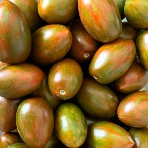 Artisan Lucky Tiger Tomatensamen