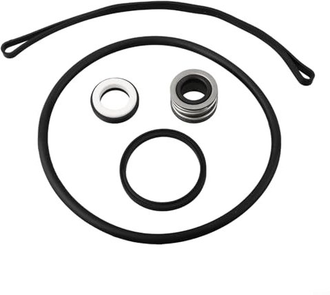 Kit de réparation de joint et de joint de pompe Hayward For Super II pour restaurer les performances de votre piscine